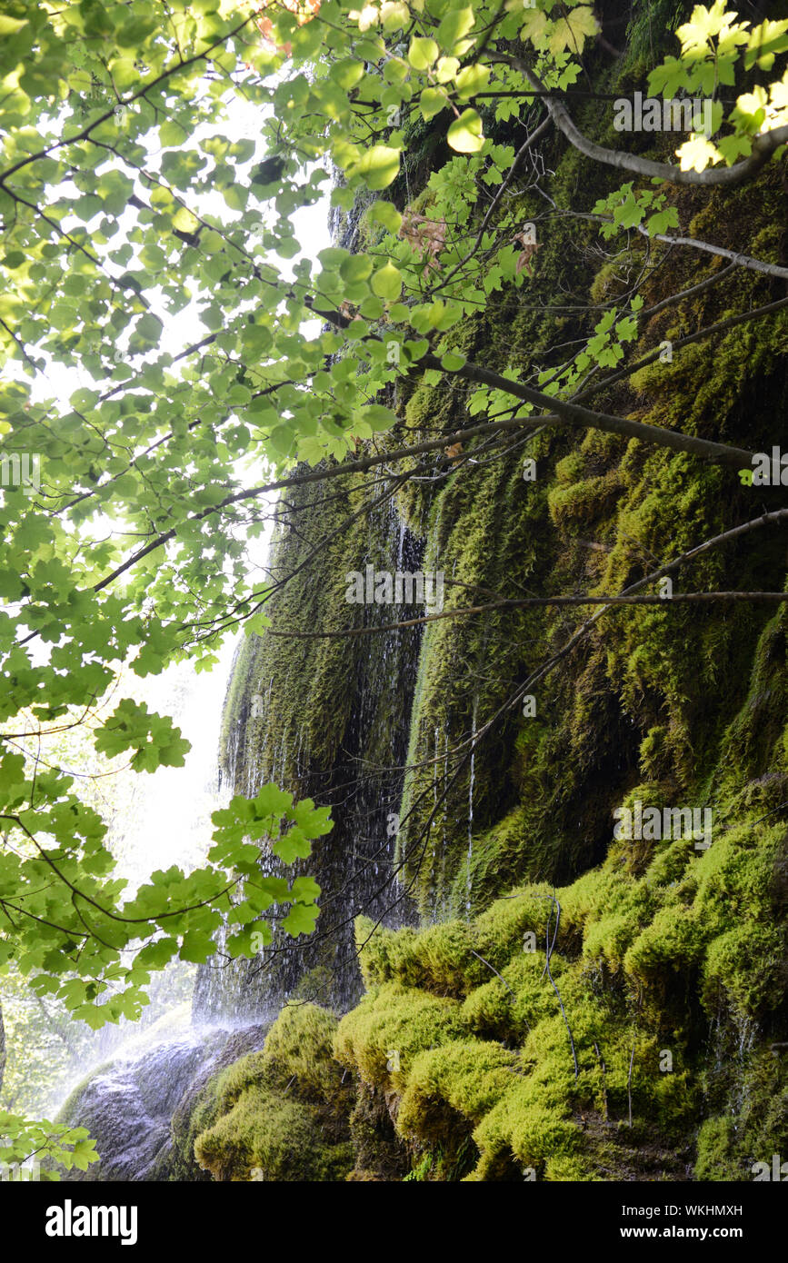 Grande Cascata o cascata & Moss-Covered rocce nel Musée Promenade Giardino e parco pubblico di Digne-les-Bains Alpes-de-Haute-Provence Provence Francia Foto Stock