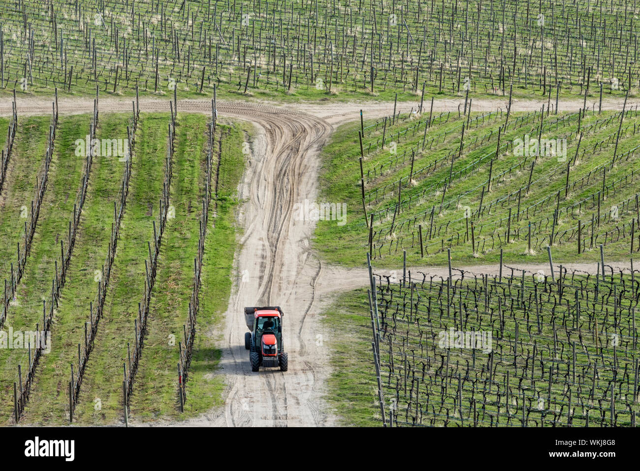 Trattore che lavora in vigna, Osoyoos, British Columbia, Canada Foto Stock