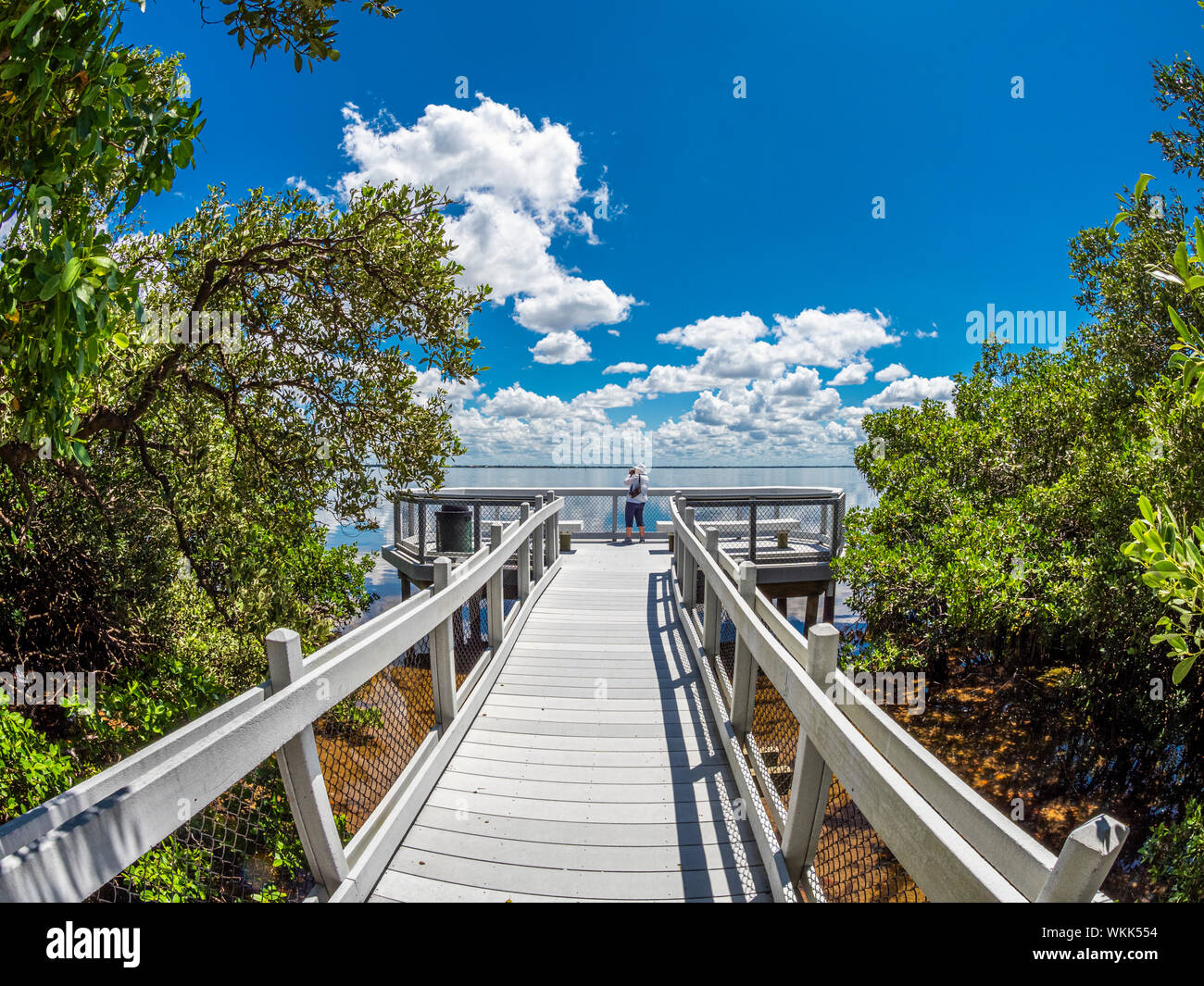La passerella a Sarasota Bay si affacciano in Joan M Duranti Parco su Longboat Key nel sud-ovest della Florida Foto Stock