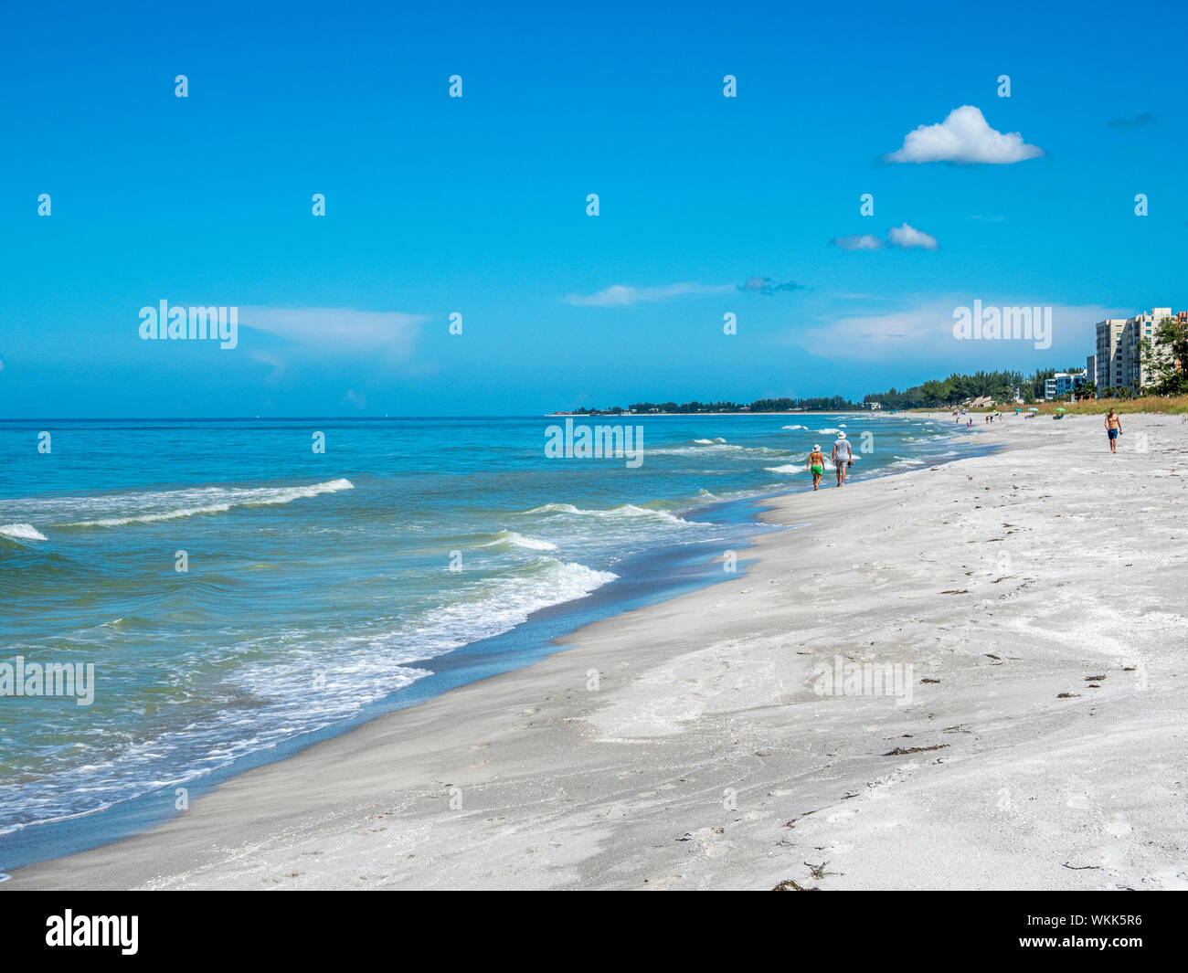 Golfo del Messico sulla spiaggia di Longboat Key Florida Foto Stock