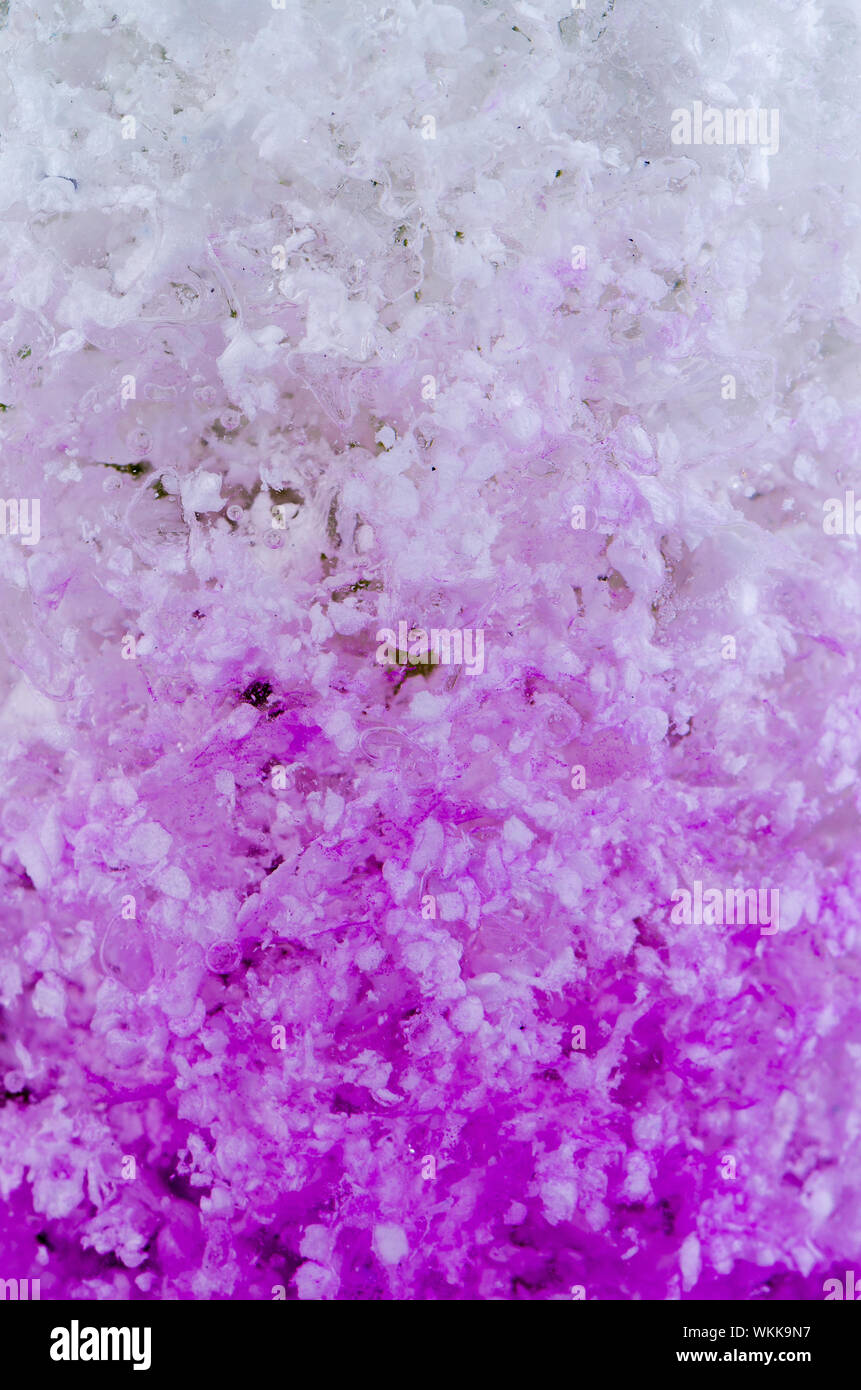 Gel fiore colore floreale perle d'acqua. Foto Stock