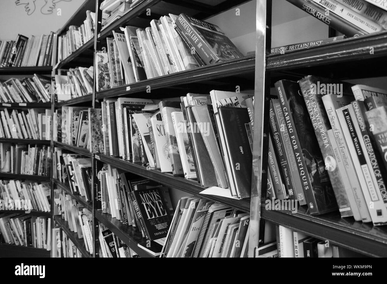 Libri Foto Stock