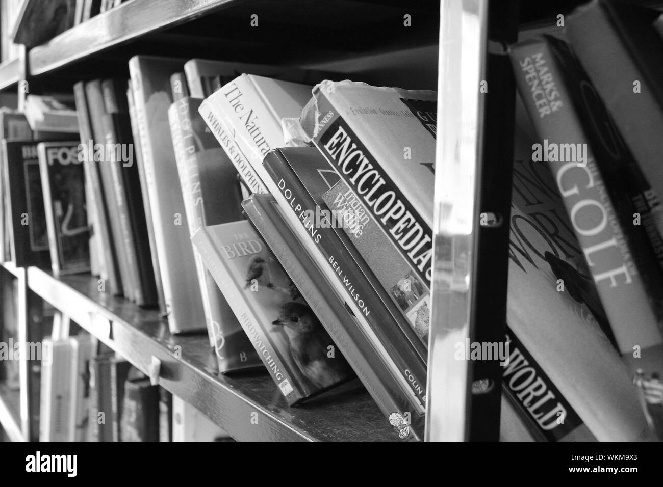 Libri Foto Stock