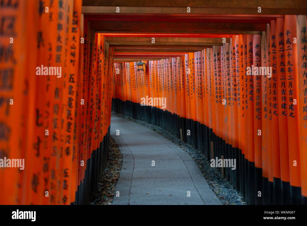 Fushimi Inari-Taisha, sacrario scintoista, strada attraverso centinaia di tradizionale rosso Torii gates, Fushimi Inari taisha-Okusha Hohaisho, Kyoto, Giappone Foto Stock