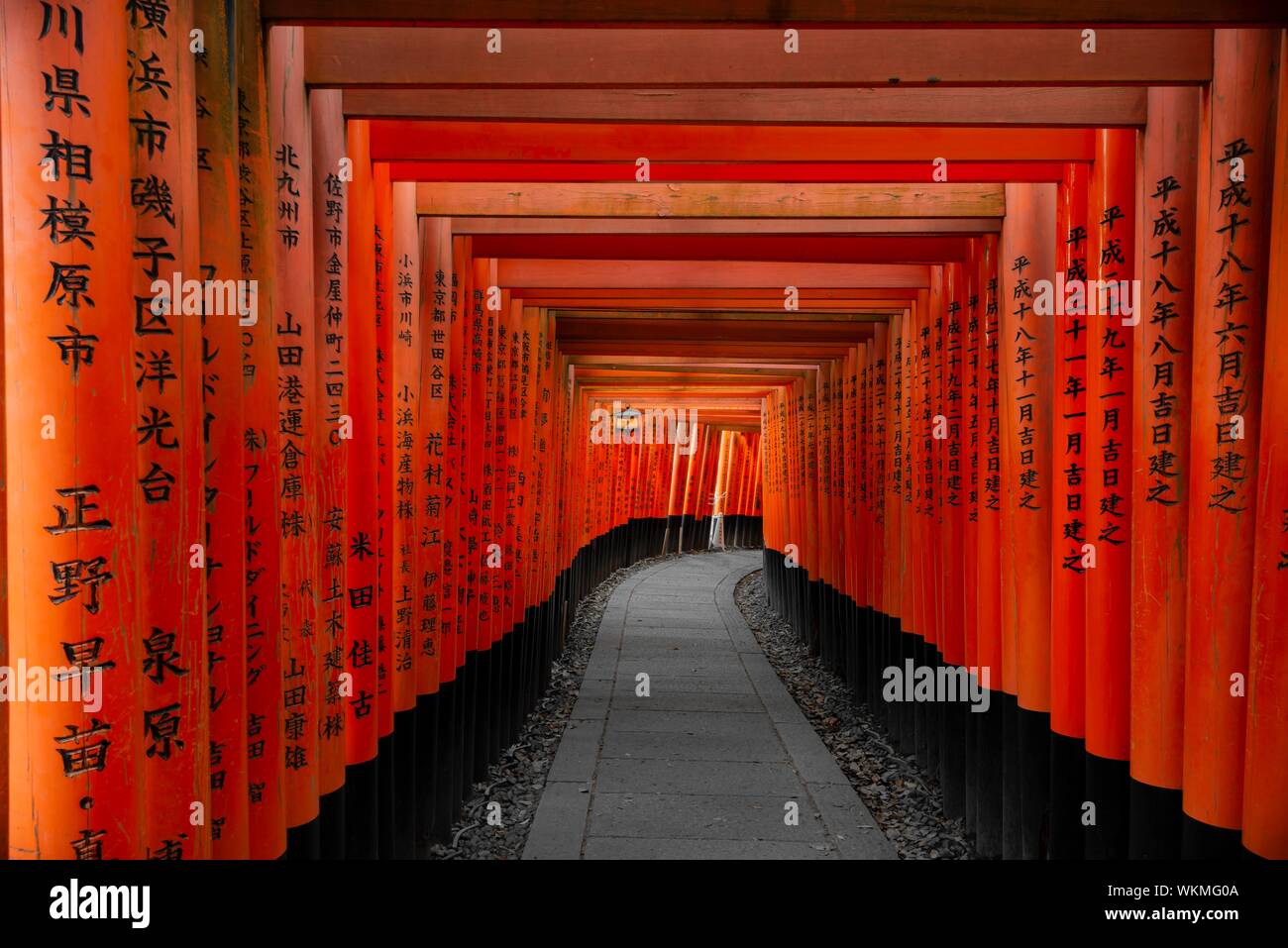 Fushimi Inari-Taisha, sacrario scintoista, strada attraverso centinaia di tradizionale rosso Torii gates, Fushimi Inari taisha-Okusha Hohaisho, Kyoto, Giappone Foto Stock