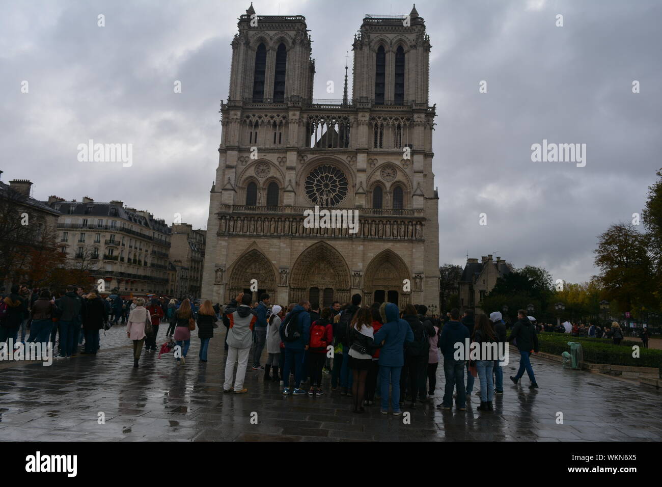 Cathédrale Notre Dame de Paris, Parigi, Francia Foto Stock