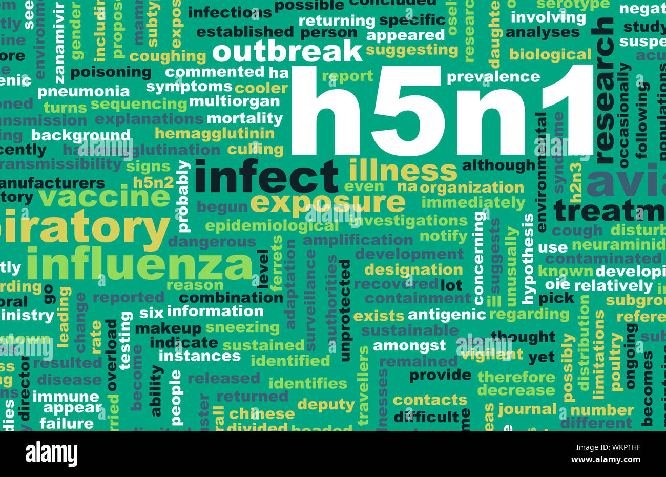 H5N1 Foto Stock