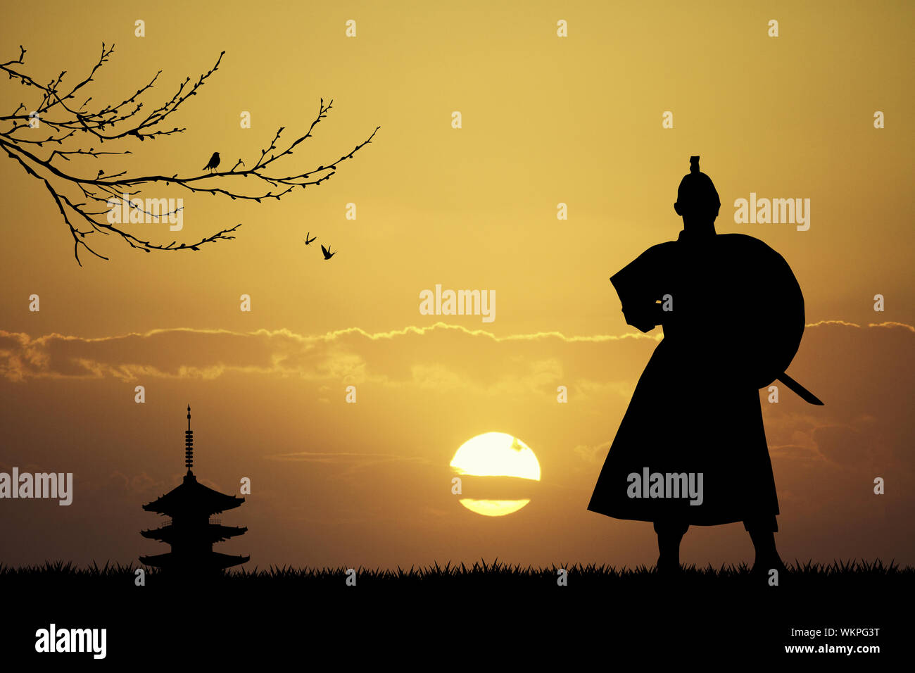 Samurai Foto Stock