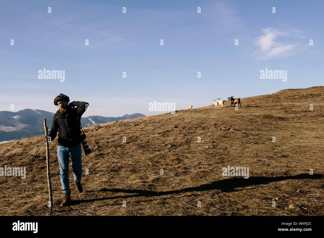 L'uomo escursionismo con fotocamera e pole sul campo contro Sky Foto Stock