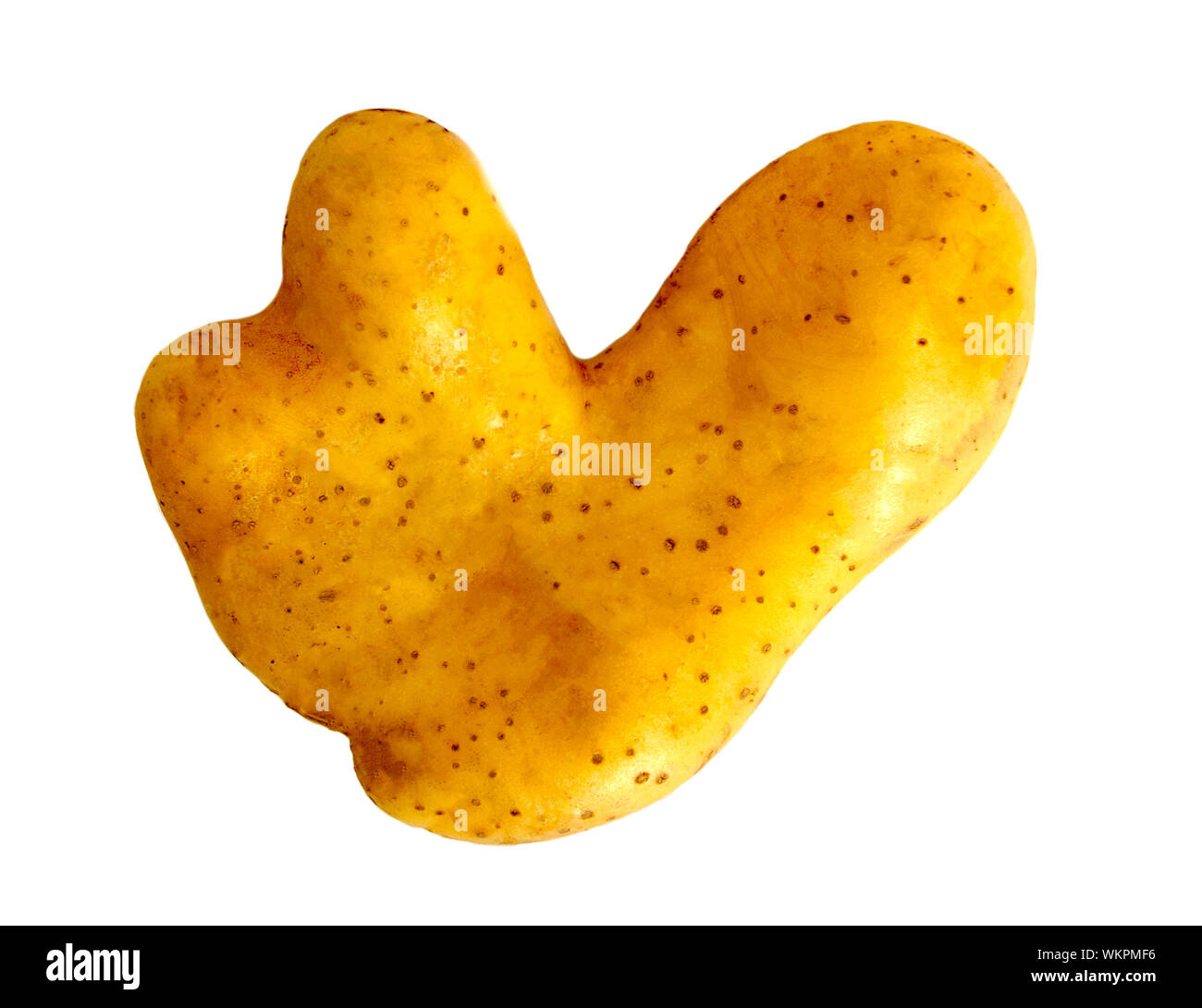 Brutto potato in forma di cuore su sfondo bianco isolato. Divertente, strano ortaggio. I rifiuti alimentari concetto. Foto Stock