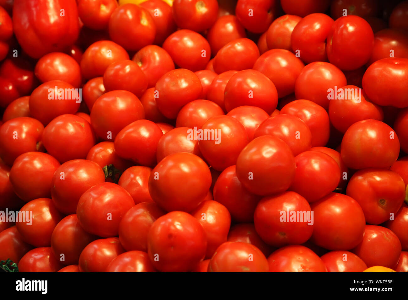 Pomodori sfondo vegetale in un negozio di alimentari Foto Stock