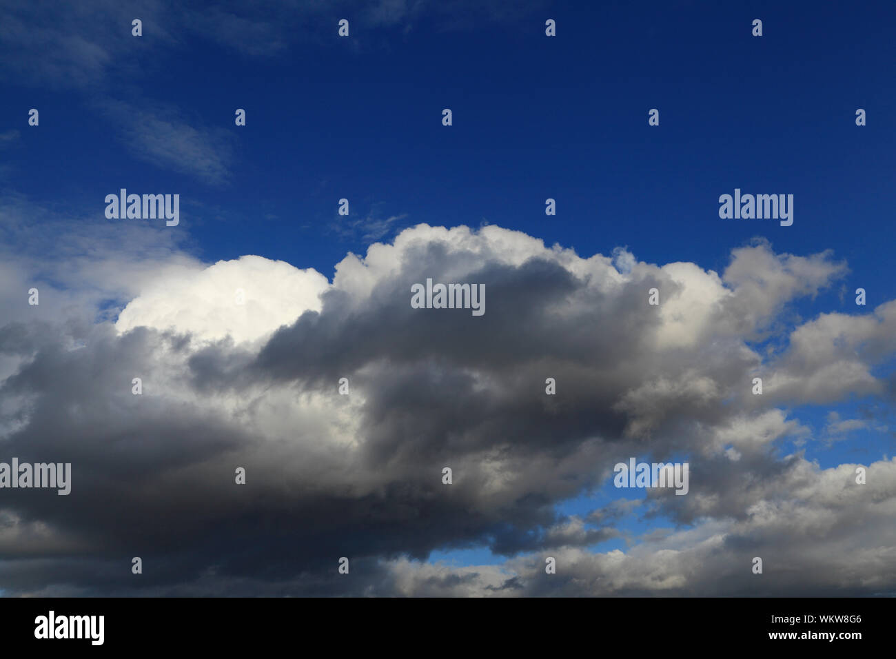 Pioggia nuvole, avvicinando, grigio scuro, Bianco, cloud, cielo blu, meteo, cieli Foto Stock