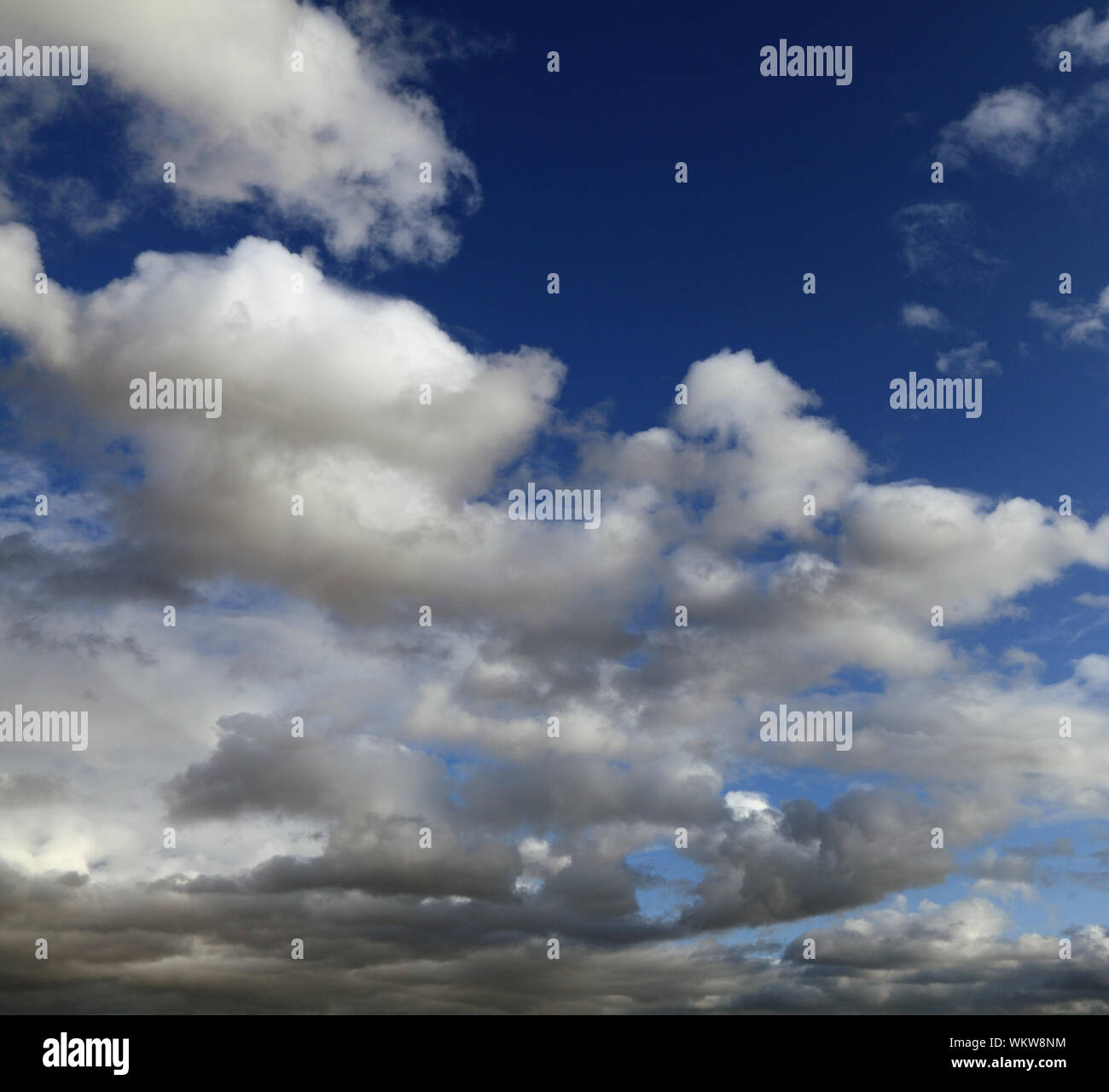 Bianco, grigio scuro, cloud, nuvole, cielo blu, cieli, meteo Foto Stock