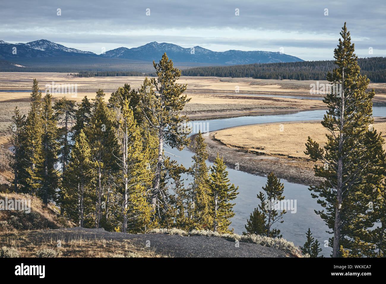 Parco Nazionale di Yellowstone paesaggio, tonificazione del colore applicato, Wyoming negli Stati Uniti. Foto Stock