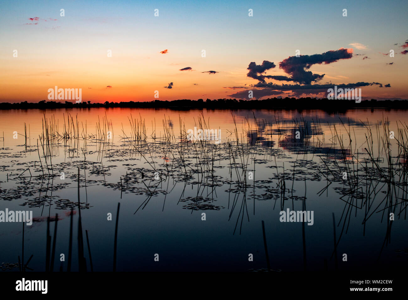 Incredibile tramonto oltre l'Okavango Delta regione del Botswana, Africa Foto Stock