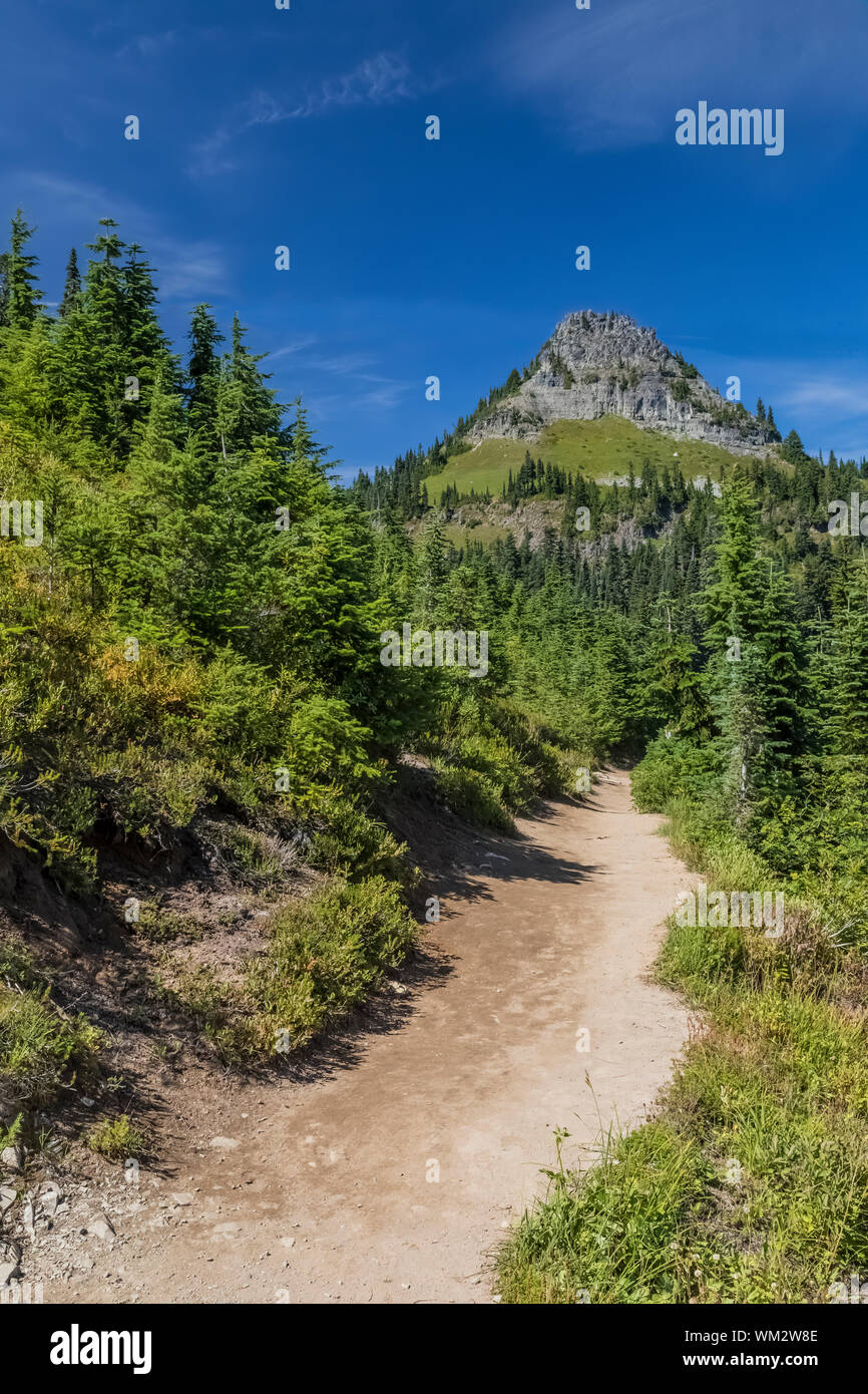 Escursioni a piedi lungo il combinato di picco Naches Loop Trail e il Pacific Crest Trail in Mount Rainier National Park, nello Stato di Washington, USA Foto Stock