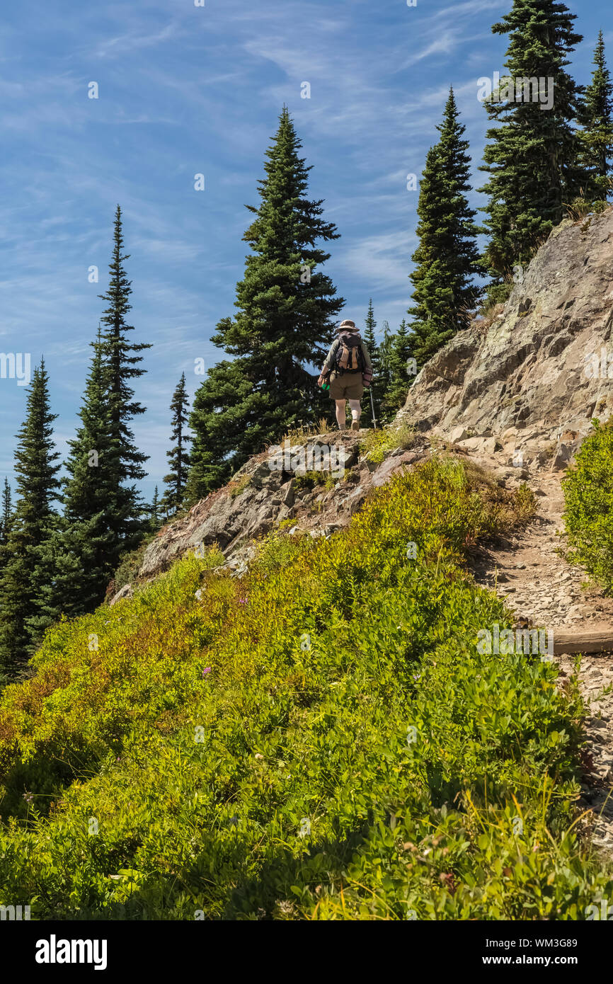 Escursioni a piedi lungo il picco Naches Loop Trail in Mount Rainier National Park, nello Stato di Washington, USA Foto Stock