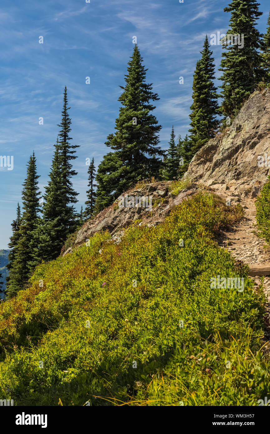 Escursioni a piedi lungo il picco Naches Loop Trail in Mount Rainier National Park, nello Stato di Washington, USA Foto Stock