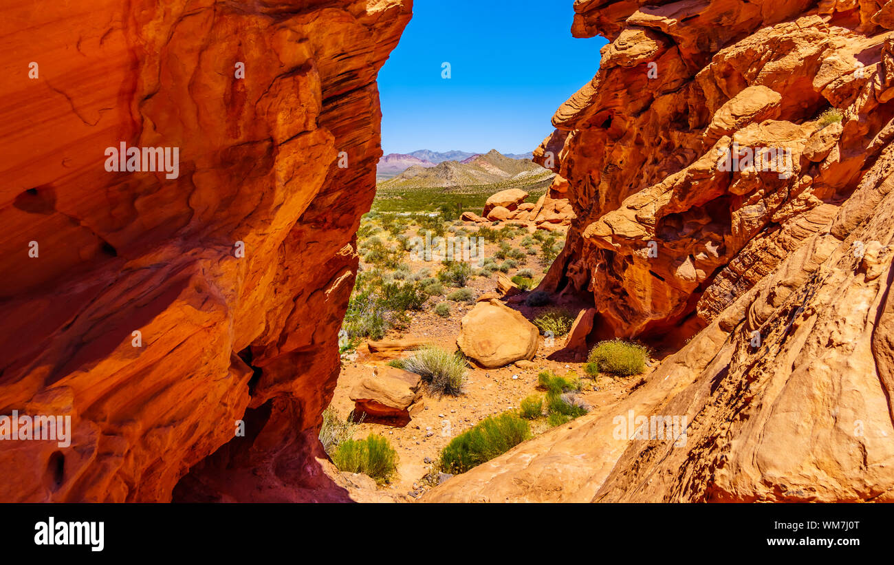 Rocce Rosse lungo Northshore Road SR167 in Lake Mead National Recreation Area corre attraverso semi paesaggio deserto tra Boulder City e Overton, NV US Foto Stock