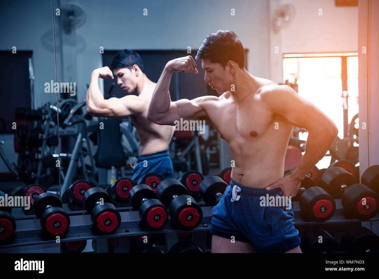 Asian Body Builder Immagini Asian Body Builder Fotos Stock Alamy Images, Photos, Reviews