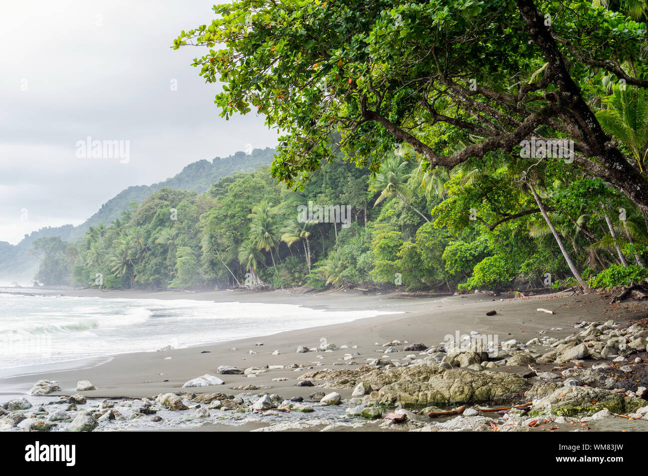 Appartata, spiaggia vuota e la giungla di Corcovado National Park, Costa Rica Foto Stock