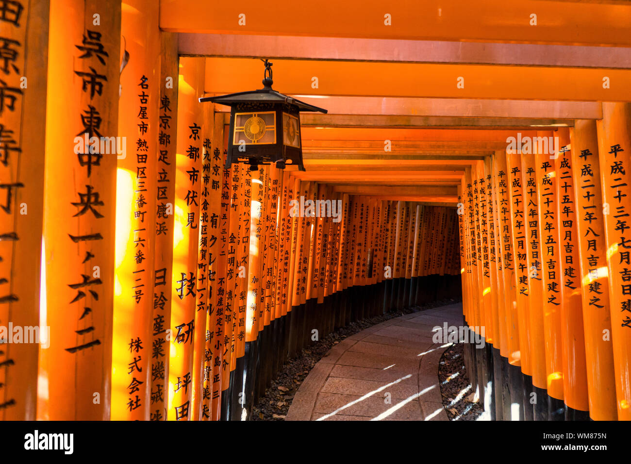 Torii Gate A Fushimi Inari Taisha, Fushimi-ku, Kyoto, Giappone Foto Stock