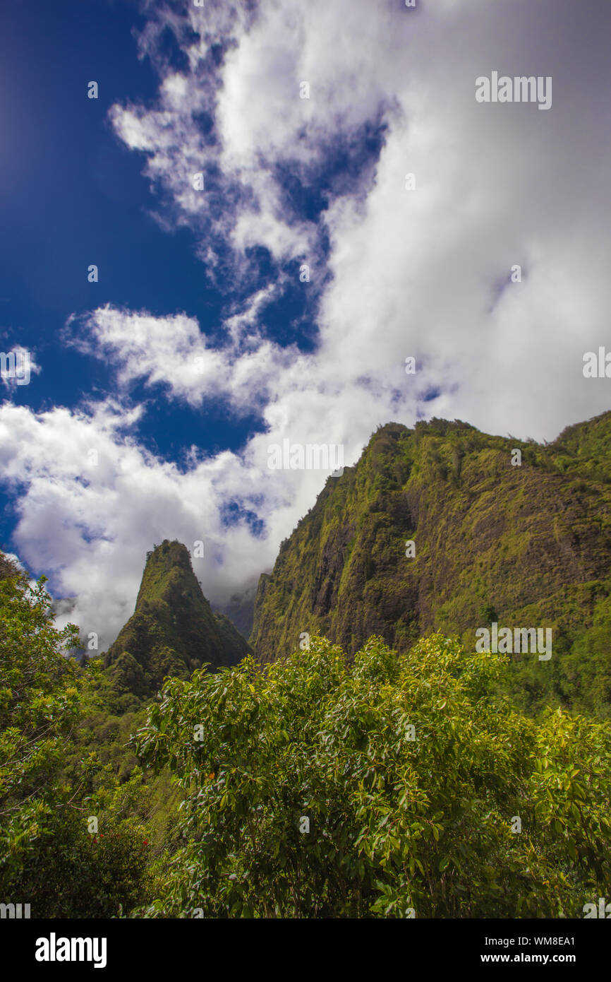 Ago geografico nella Iao Valley Foresta Pluviale Foto Stock