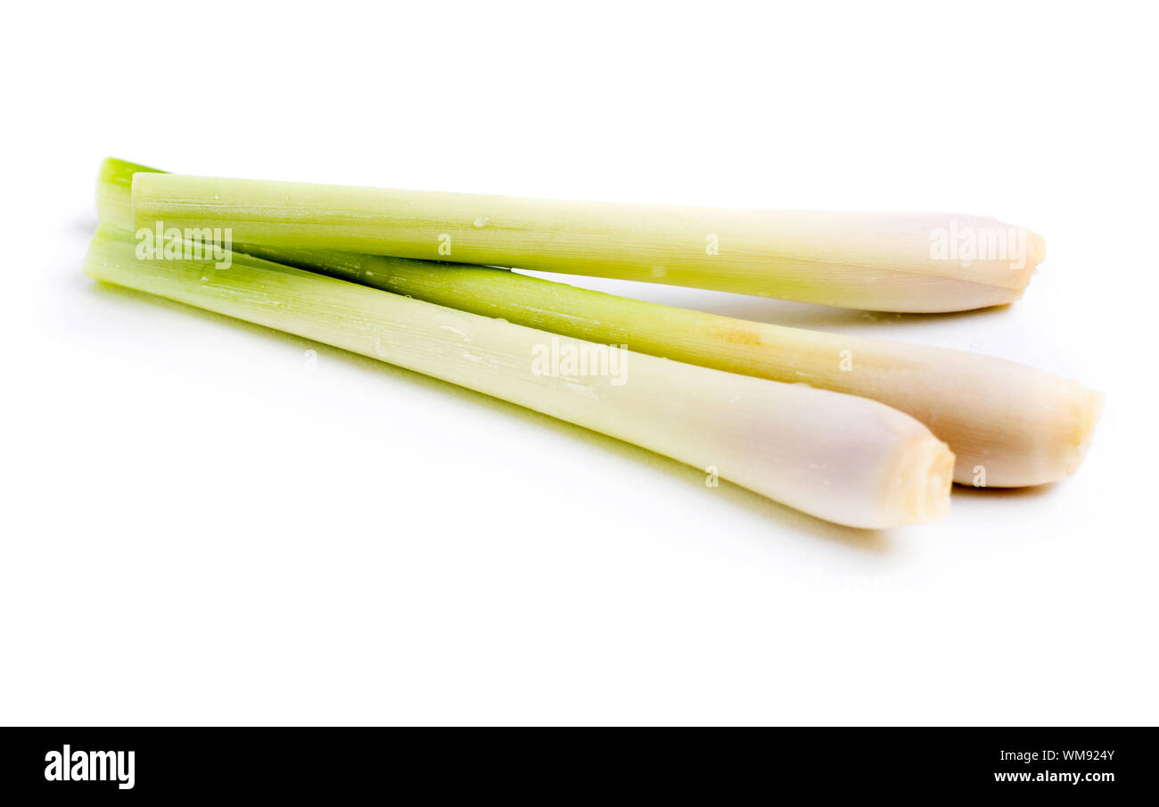 Fresco di Erba di limone su sfondo bianco Foto Stock