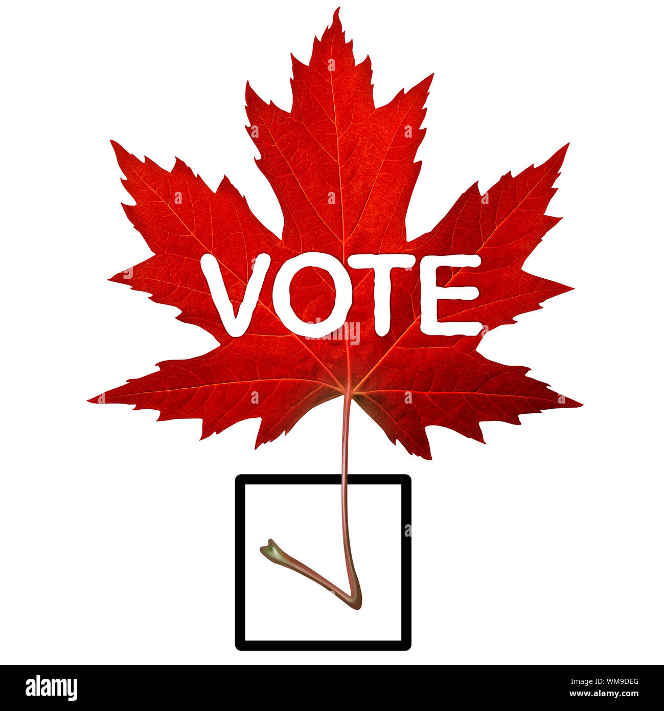 Canada simbolo di voto e di elezione canadese concetto con un rosso maple leaf conformata come un segno di spunta in un 3D illustrazione dello stile. Foto Stock