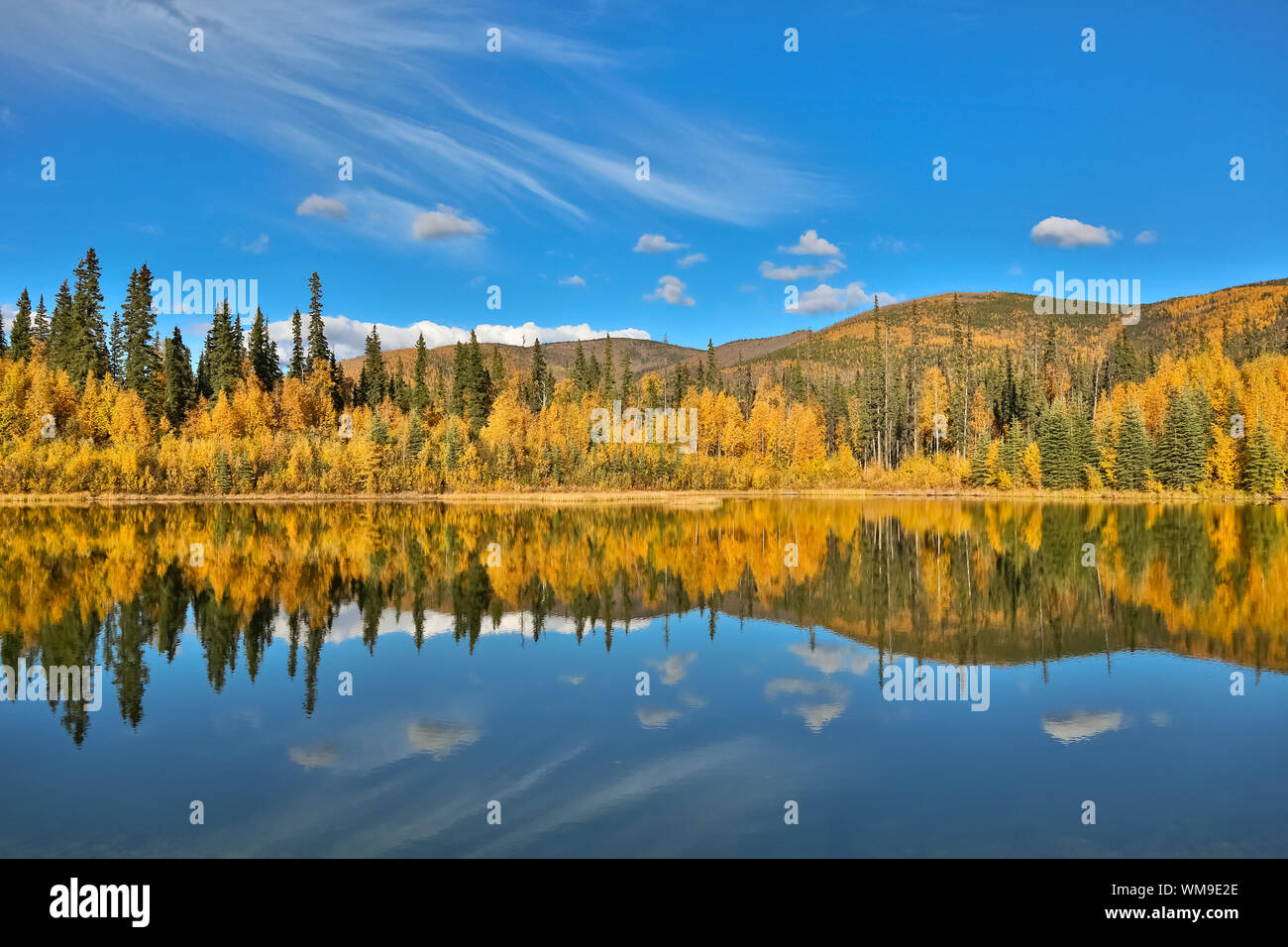 Vista panoramica di un lago chiaro con riflessi nella caduta, Chena River State Park, Alaska Foto Stock