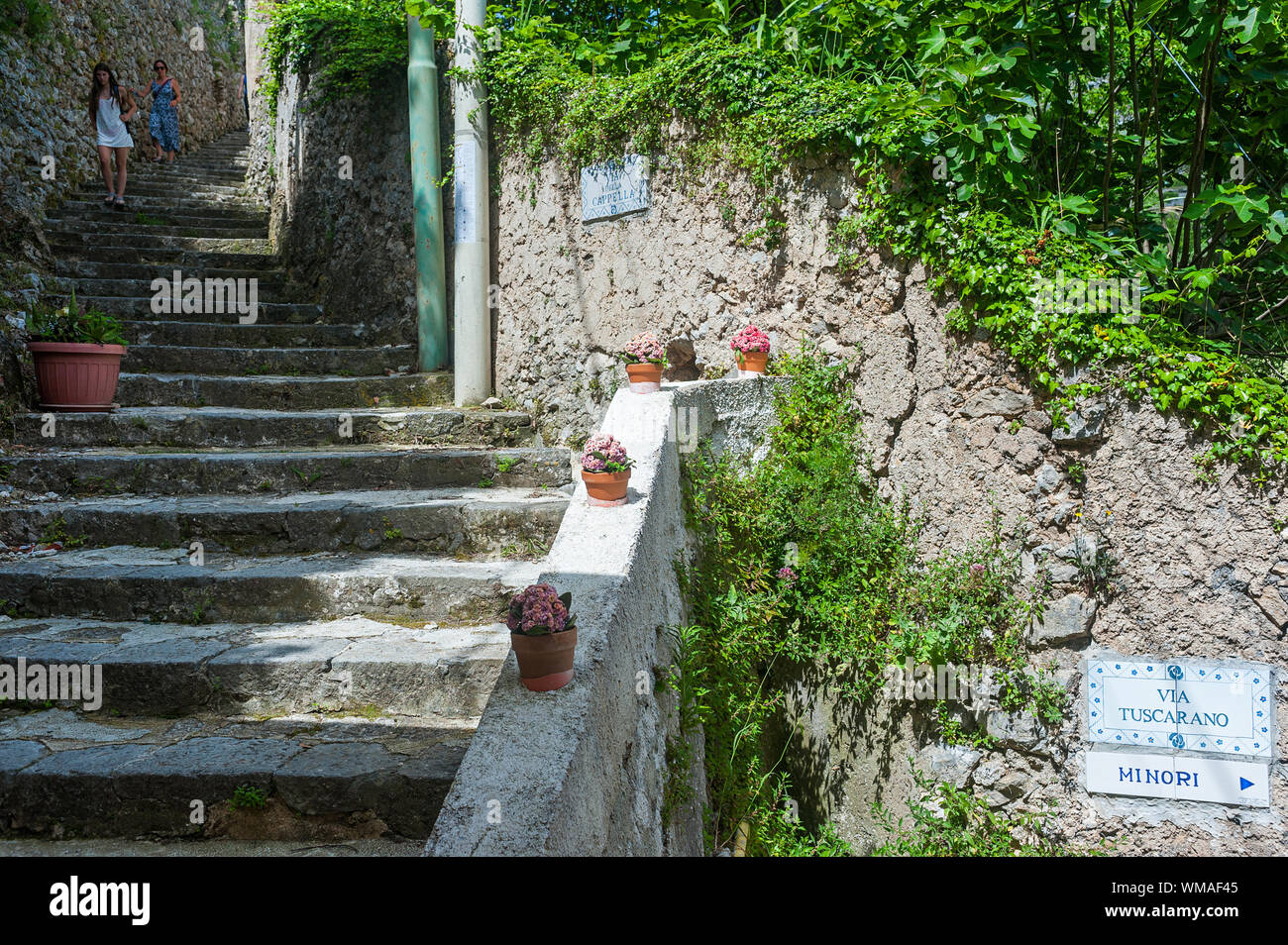 Costiera Amalfitana (Salerno) : il limone il percorso . Foto Stock