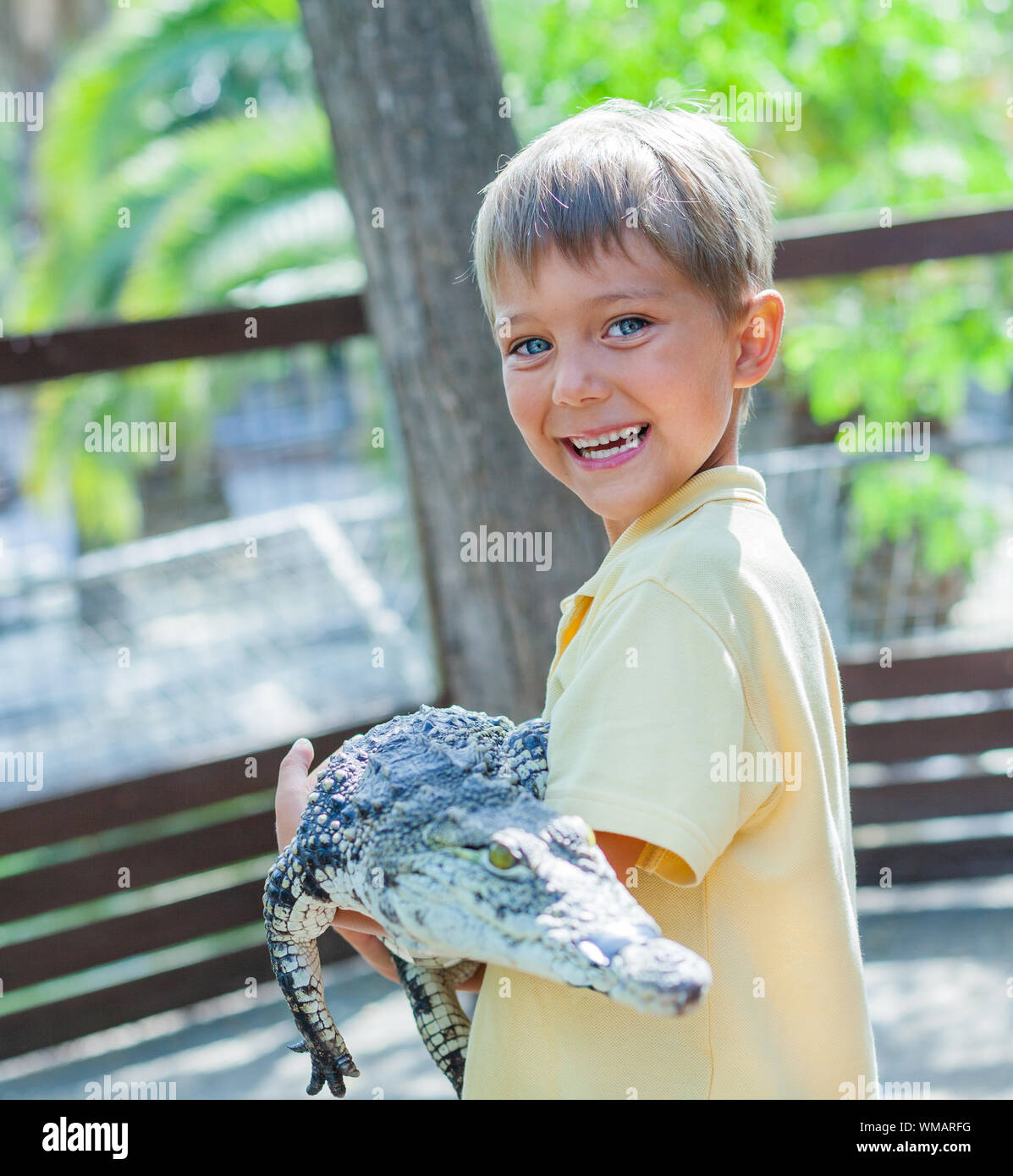 Little Boy vero coccodrillo sulla fattoria di coccodrilli Foto Stock
