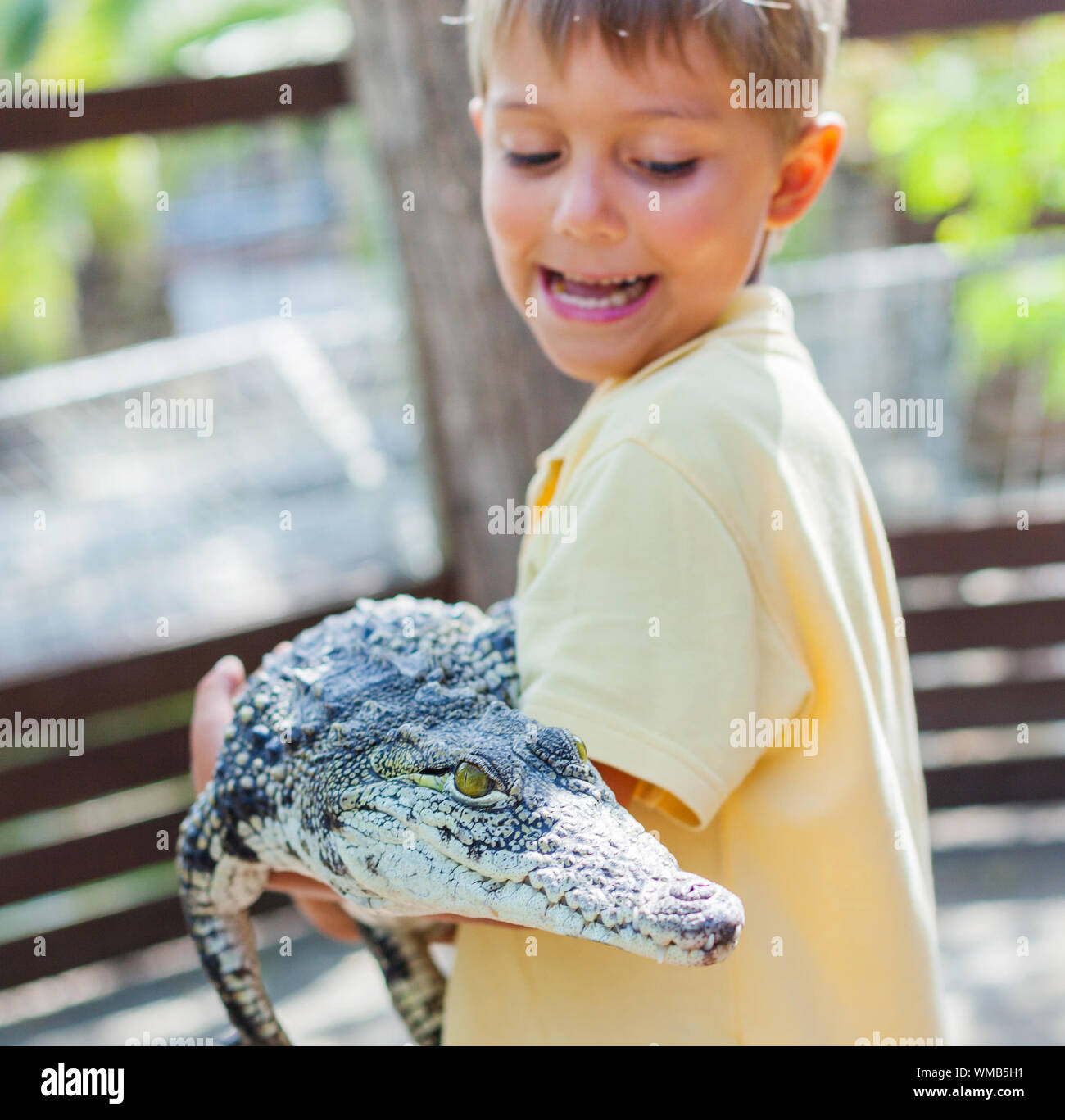 Little Boy vero coccodrillo sulla fattoria di coccodrilli. Focus sul coccodrillo. Foto Stock