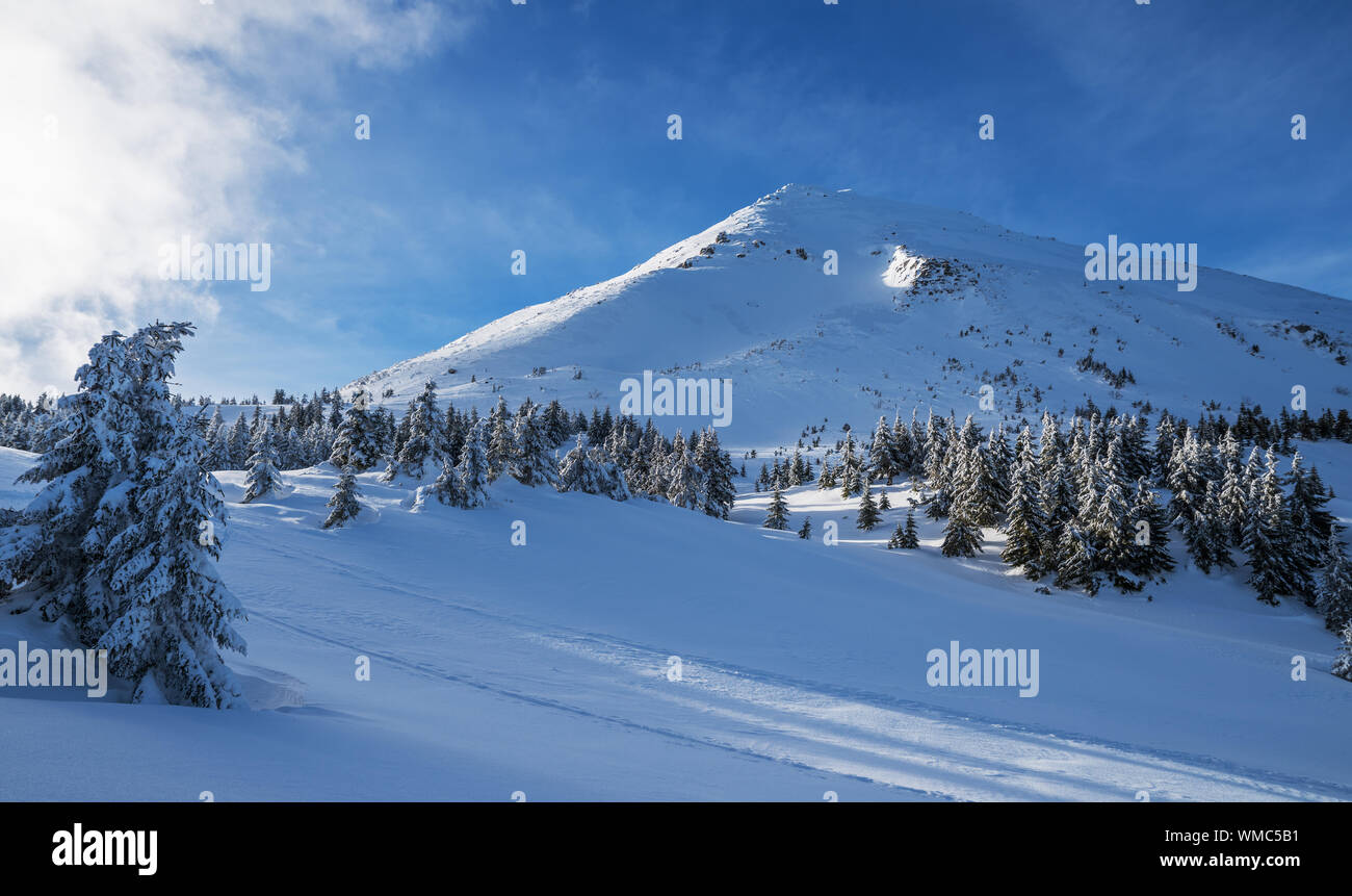 Incantevole paesaggio invernale delle montagne dei Carpazi. Petros picco coperto di neve. Foto Stock