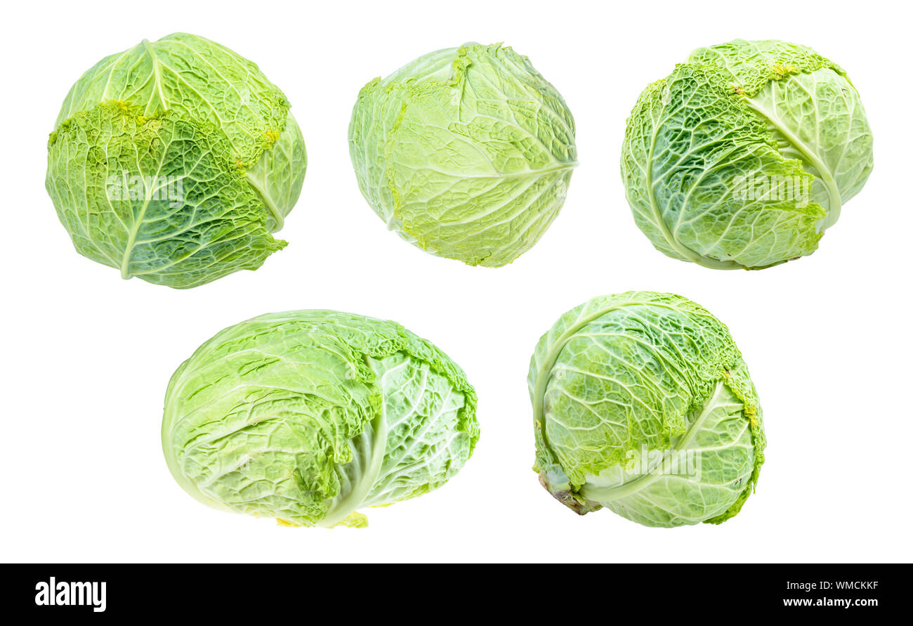 Varie freschi Cavoli savoy ritagliata su sfondo bianco Foto Stock