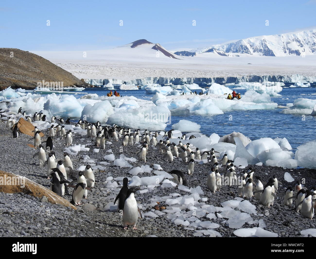 Adelie pinguini su paesaggi innevati contro Sky Foto Stock