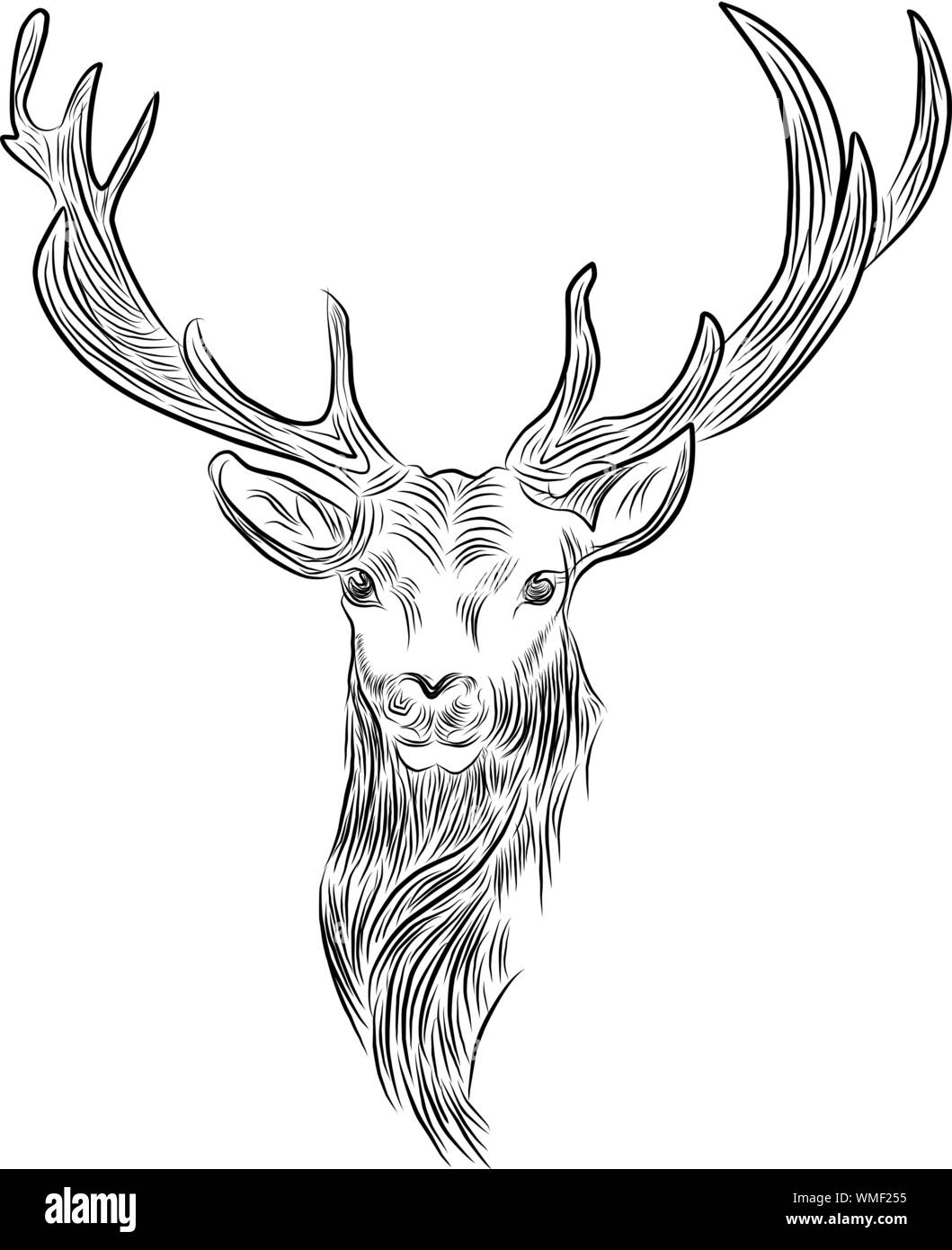 Deer disegna la grafica vettoriale testina monocromatica con corna Illustrazione Vettoriale