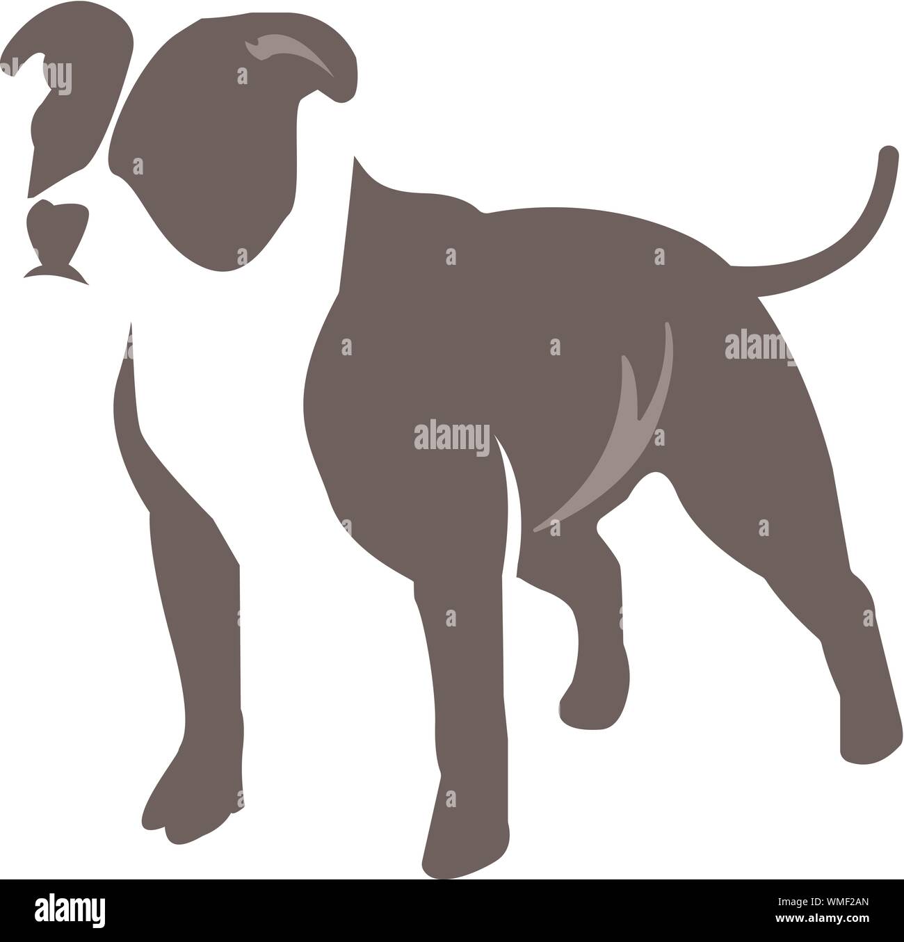 Immagine vettoriale di un cane Pitbull Terrier su sfondo bianco Illustrazione Vettoriale
