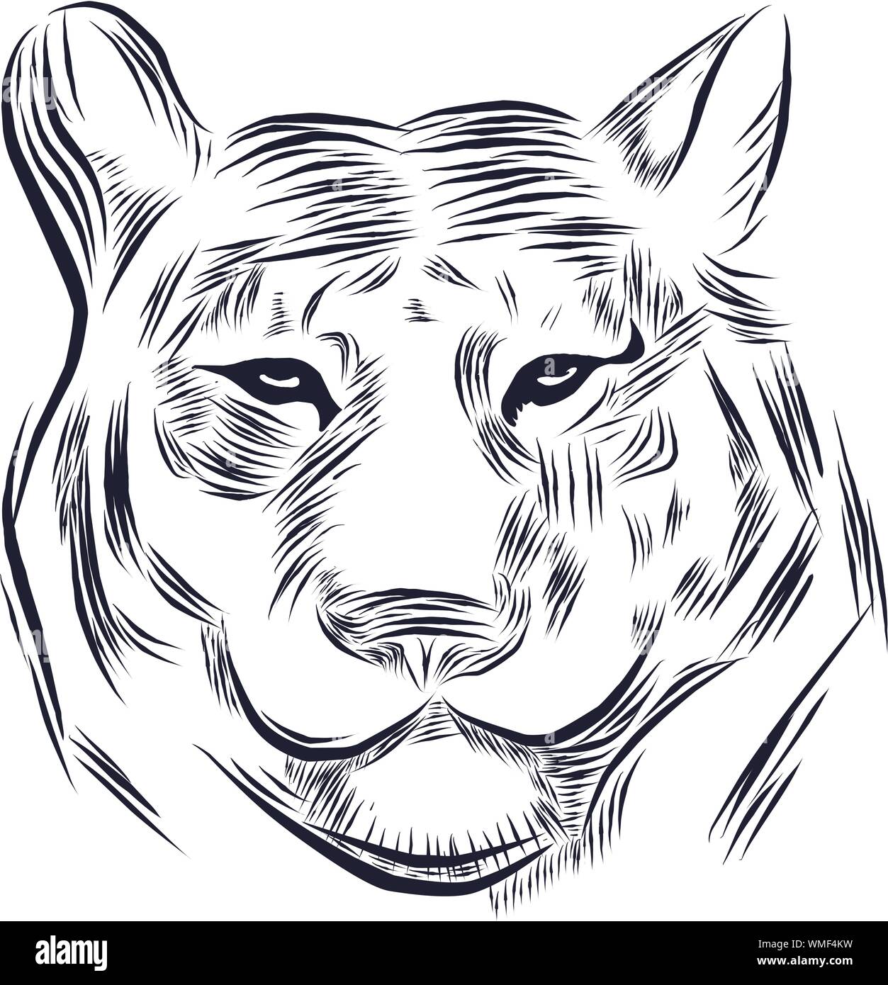 Illustrazione di linea di un testa di tiger, adatto come tattoo, squadra mascotte, simbolo per zoo o animale centro di conservazione Illustrazione Vettoriale