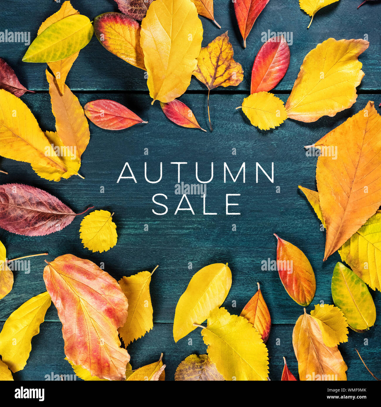 Collezione autunno vendita. Sconto o banner flyer design template con vibrante Foglie di autunno e spazio di copia Foto Stock