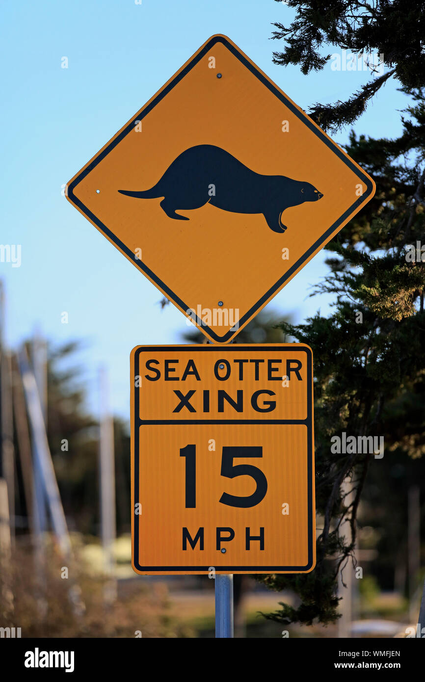 Segno di traffico, Sea Otter, proteggere le lontre marine da traffico e la velocità limite di velocità, Elkhorn Slough, Monterey, California, Nord America, STATI UNITI D'AMERICA Foto Stock