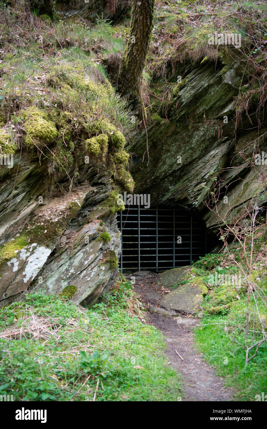 Vecchio tunnel monumento naturale, il Parco Nazionale dell'Eifel, nella Renania settentrionale-Vestfalia, Germania, Europa Foto Stock