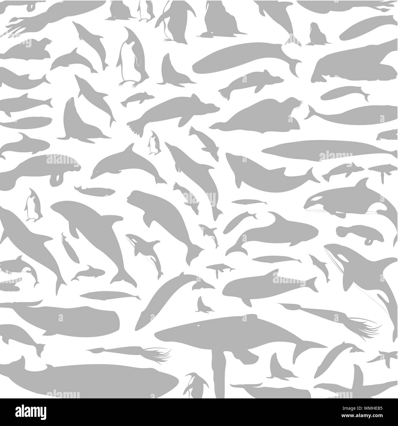 Dolphin uno sfondo Illustrazione Vettoriale