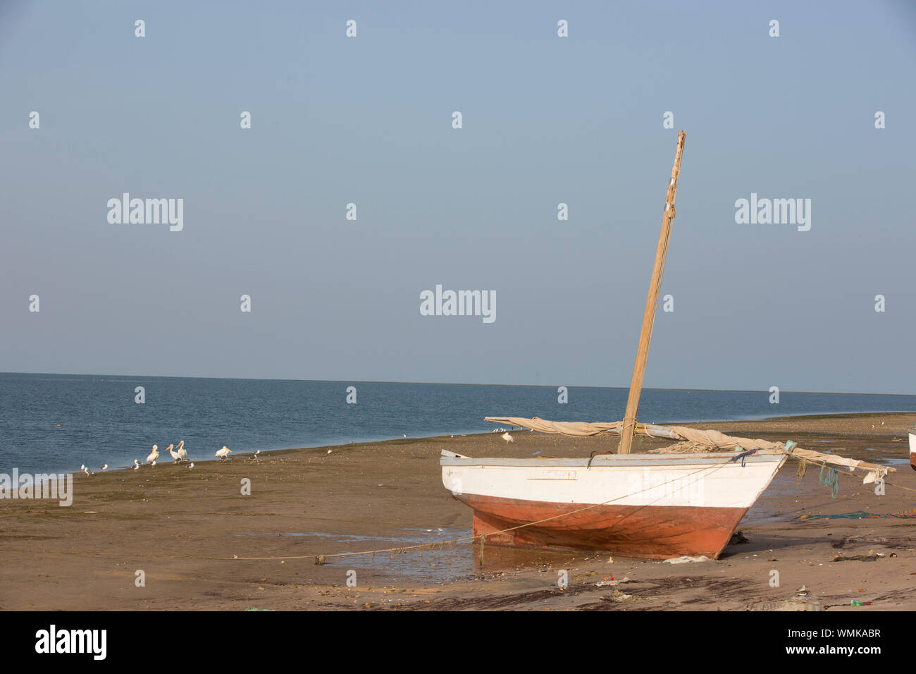 Parco nazionale di Banc d'Arguin , MAURITANIA Foto Stock