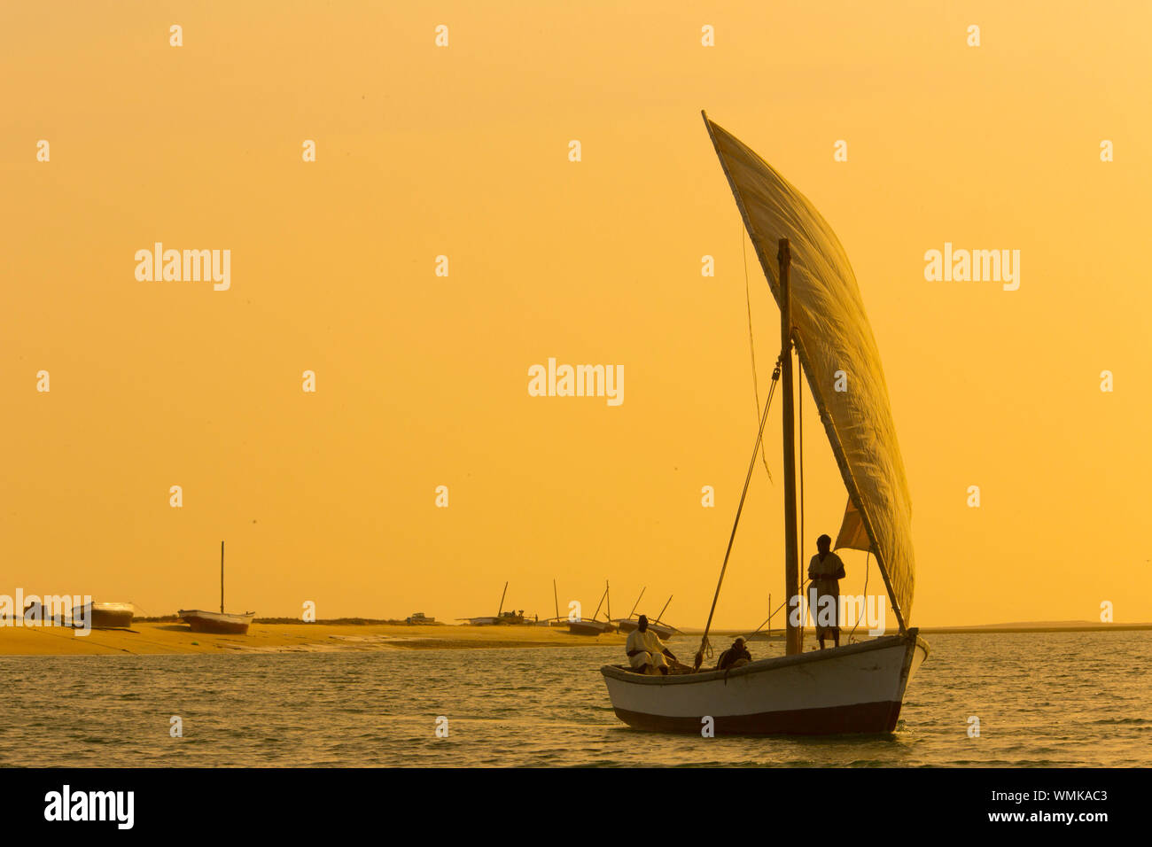 Parco nazionale di Banc d'Arguin , MAURITANIA Foto Stock