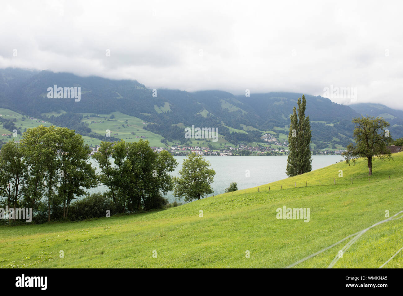 Una vista della città di Sachseln dall'altra parte del lago Sarnen, nel cantone di Obvaldo, in Svizzera. Foto Stock