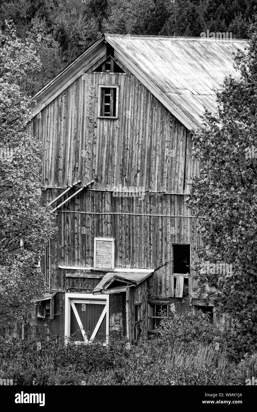 Vecchia immagine in bianco e nero di un paese antico fienile durante la caduta delle foglie di stagione in Stowe Vermont, USA Foto Stock