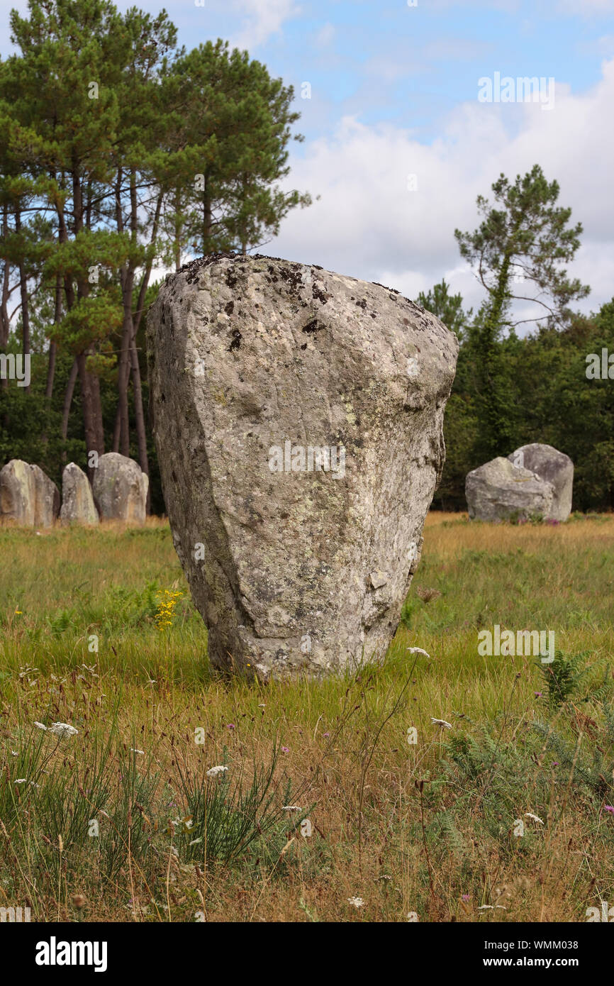 I menhir della Alignements di Kerlescan, filari di pietre permanente, il più grande sito megalitico nel mondo, Carnac, Brittany, Francia Foto Stock