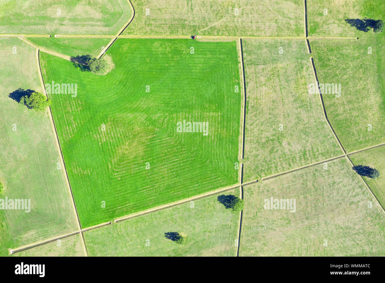 Prato verde nel parco Alto Vista aerea. Abstract paesaggio geometrico nel parco Foto Stock