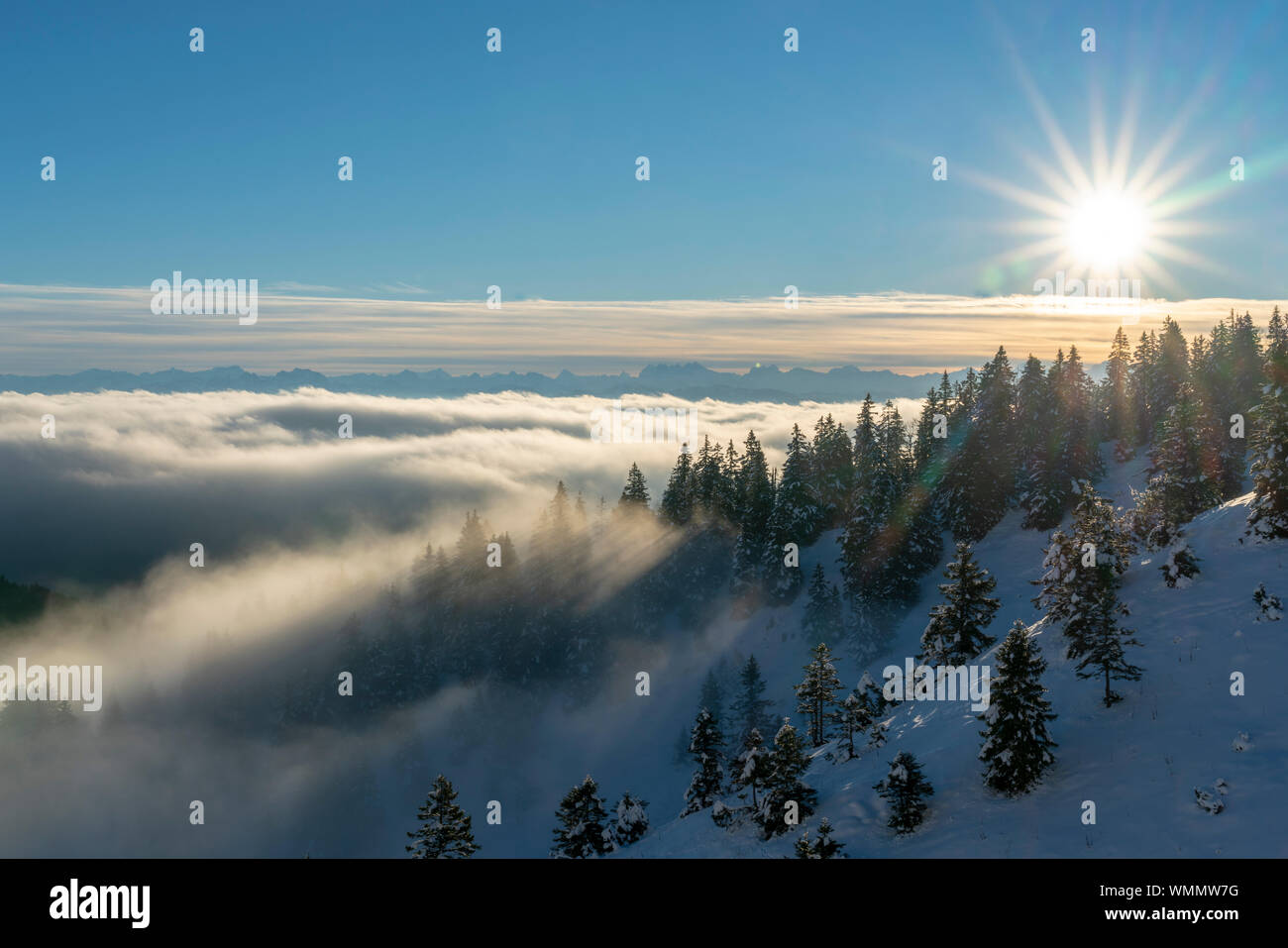 Le Alpi a sunrise in inverno, in primo piano più di conifere Foto Stock